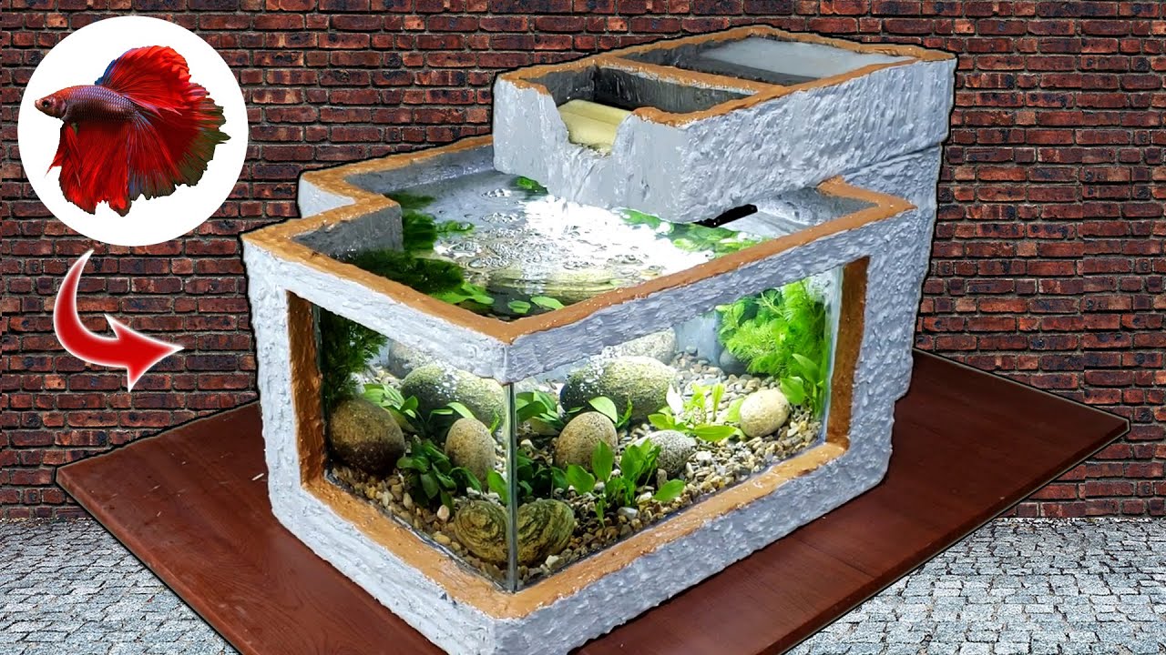 Detail Aquarium Dari Gabus Nomer 8