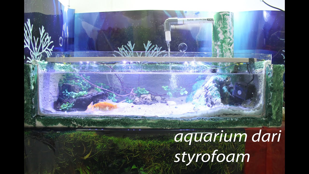 Aquarium Dari Gabus Styrofoam - KibrisPDR