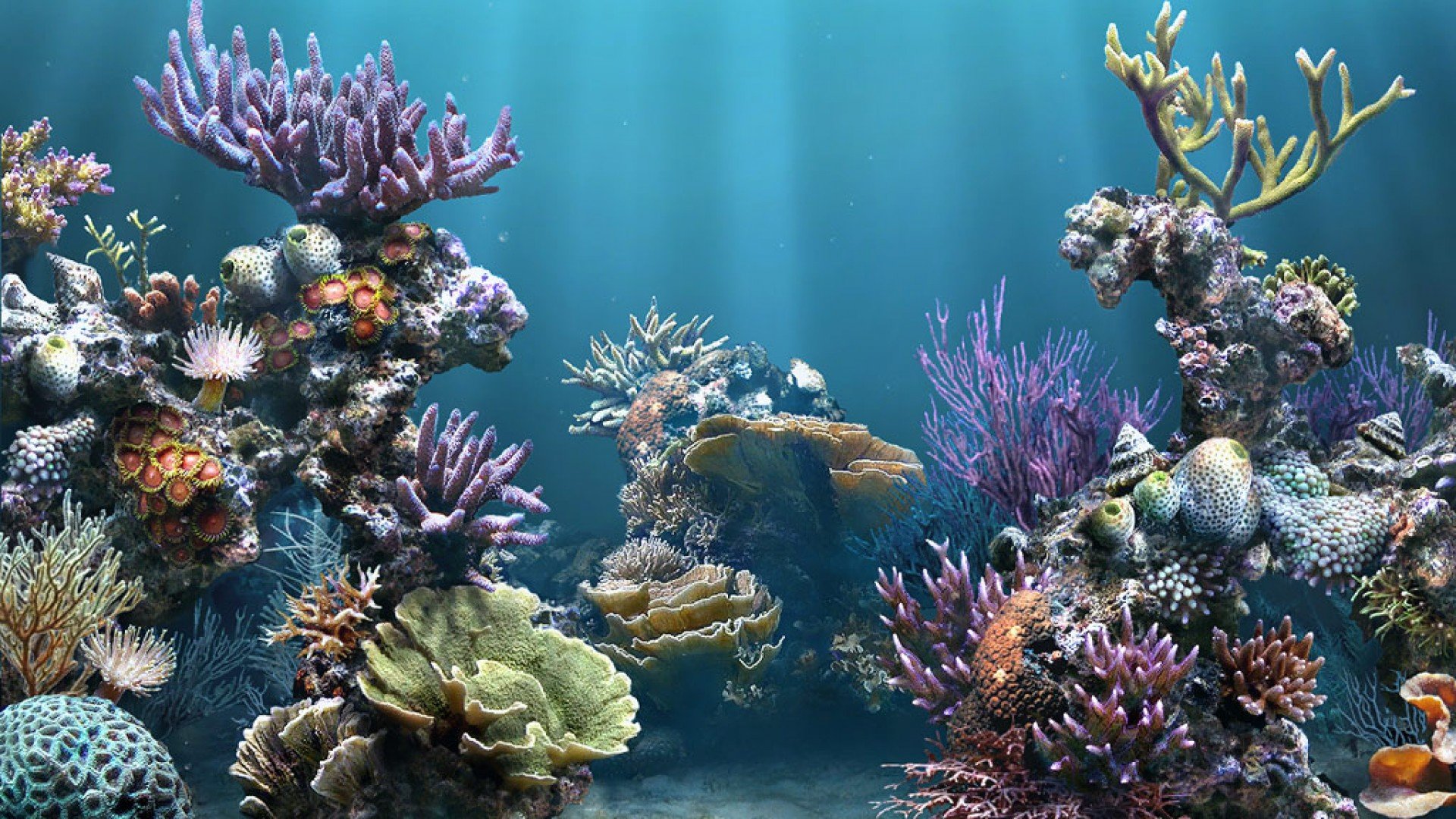Download Aquarium Desktop Wallpaper Nomer 24
