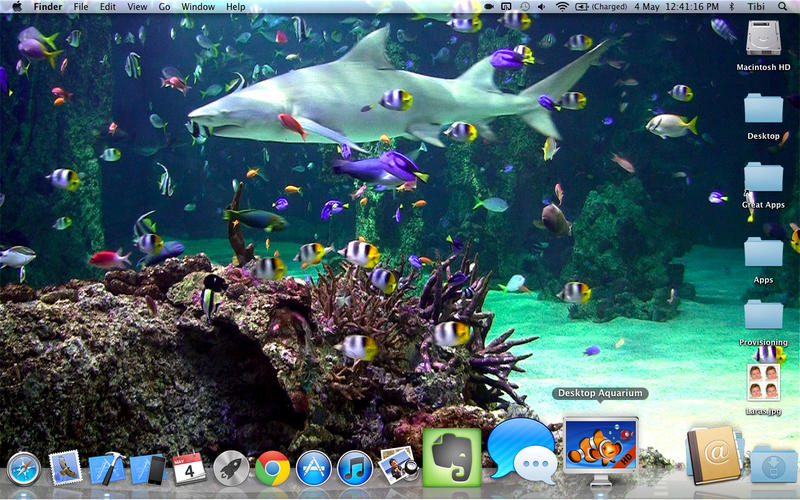 Detail Aquarium Desktop Wallpaper Nomer 34