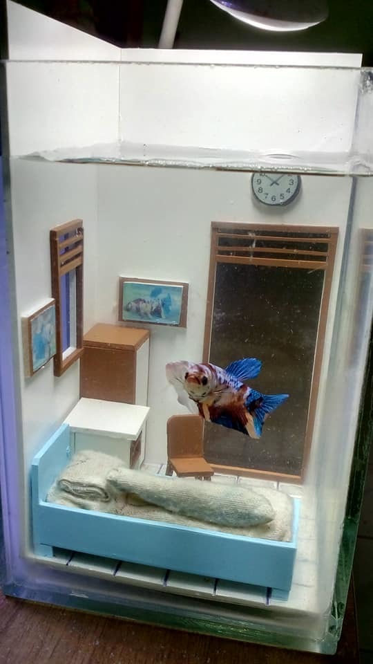 Detail Aquarium Di Kamar Nomer 39