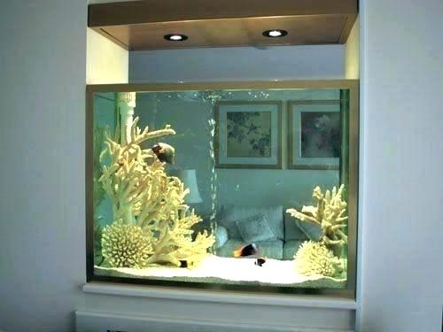 Detail Aquarium Di Teras Rumah Nomer 19