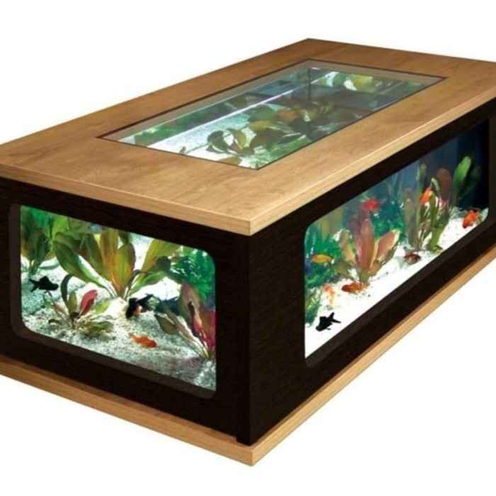 Detail Aquarium Di Teras Rumah Nomer 33