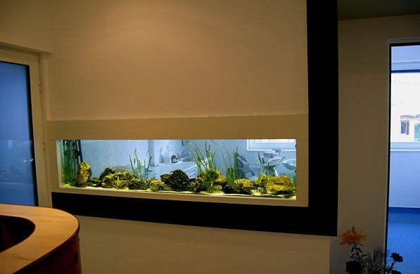 Detail Aquarium Dinding Dalam Rumah Nomer 11