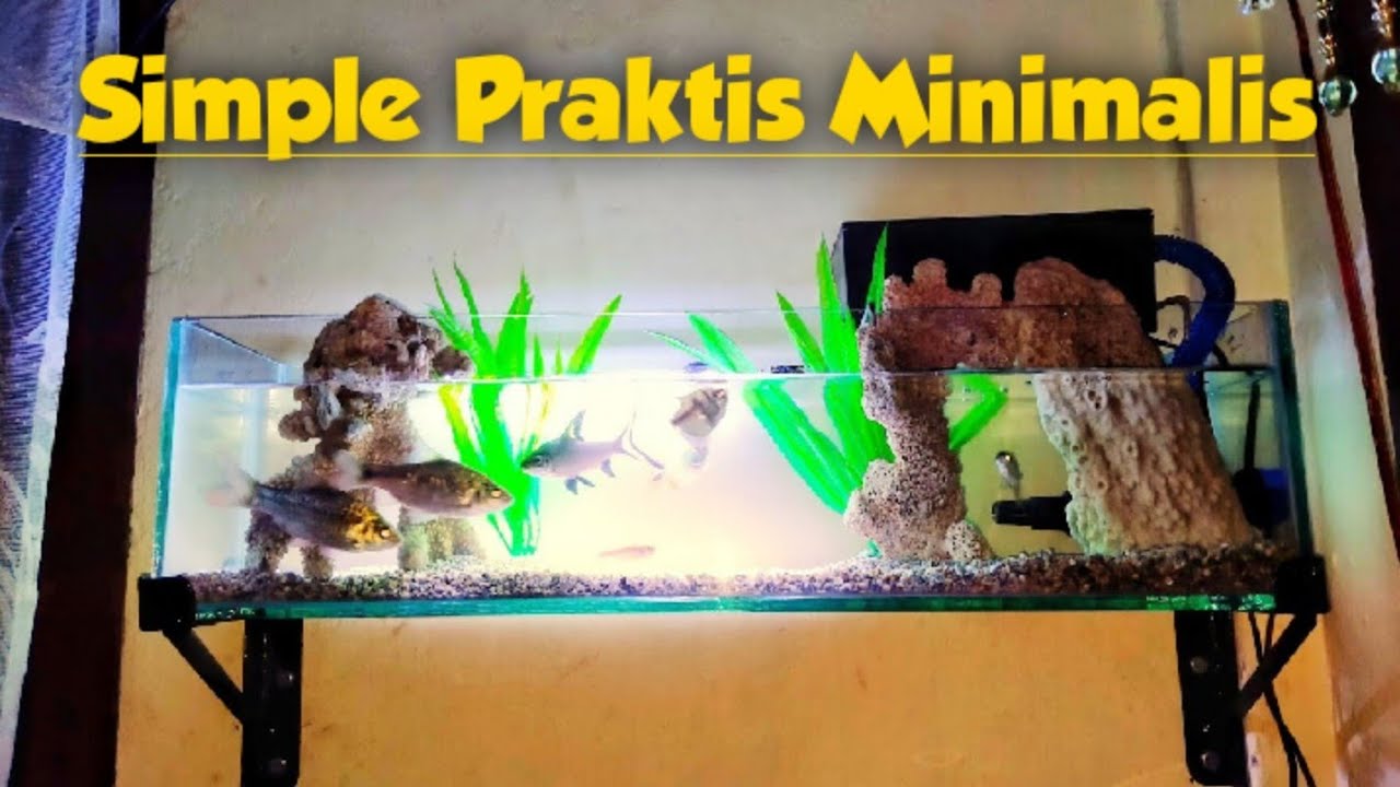 Detail Aquarium Dinding Dalam Rumah Nomer 13