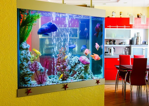 Detail Aquarium Dinding Dalam Rumah Nomer 26