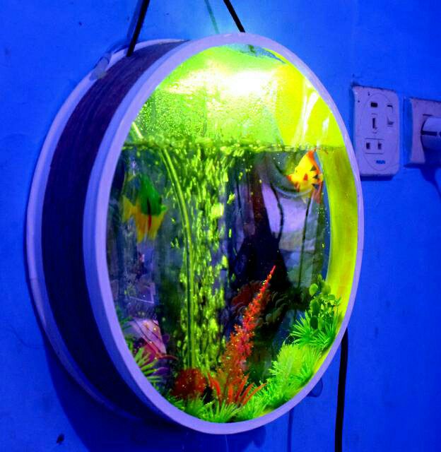 Detail Aquarium Dinding Dalam Rumah Nomer 49