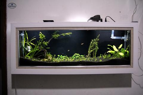 Detail Aquarium Dinding Ruang Tamu Nomer 30