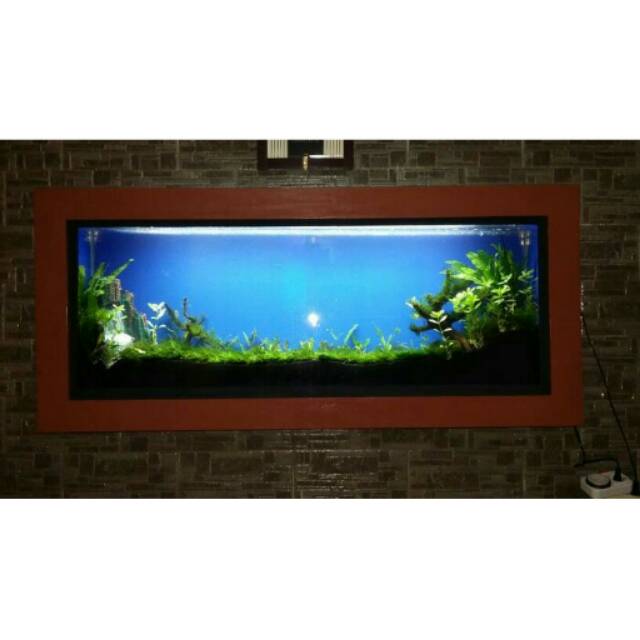 Detail Aquarium Dinding Rumah Nomer 5