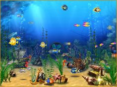 Detail Aquarium Downloads Nomer 11