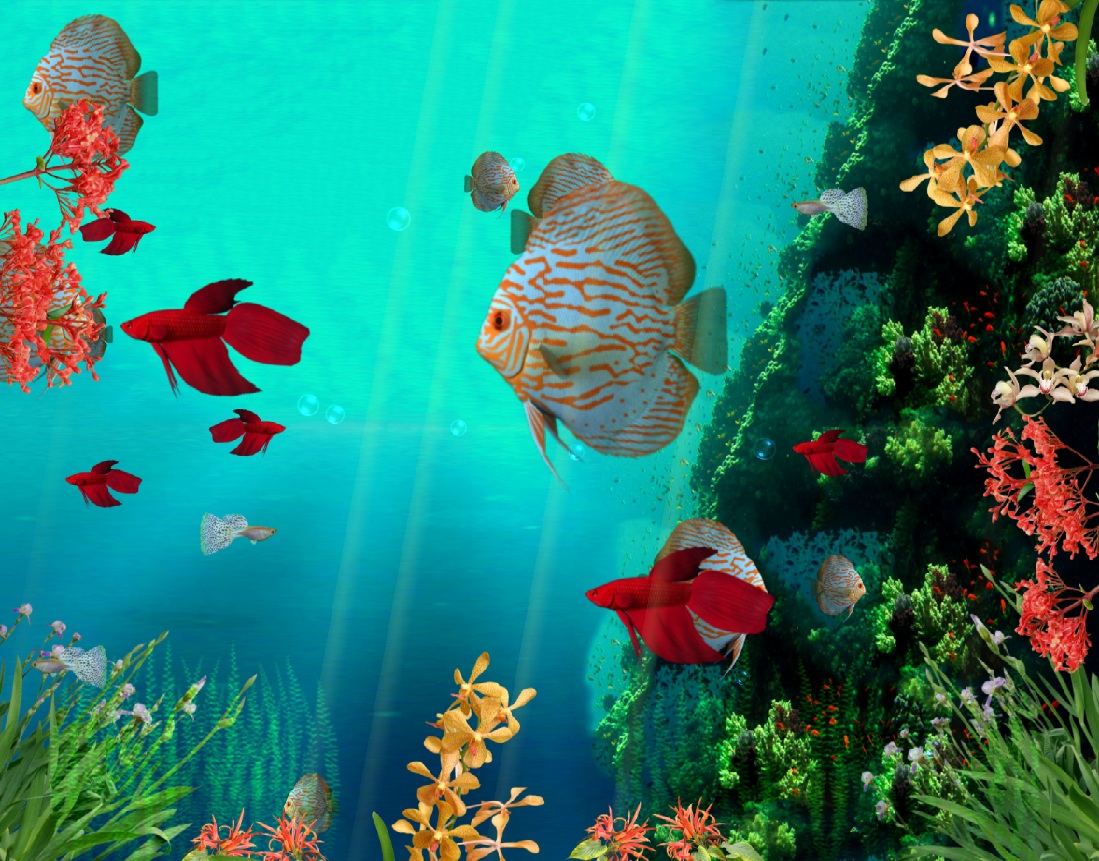 Download Aquarium Downloads Nomer 12