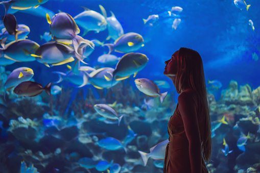 Detail Aquarium Downloads Nomer 15