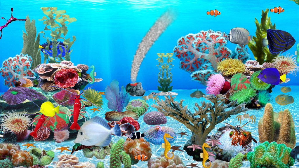 Detail Aquarium Downloads Nomer 19