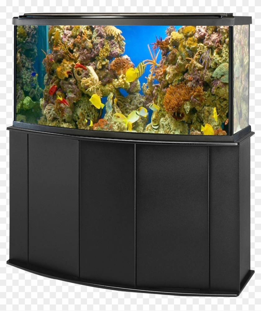 Detail Aquarium Downloads Nomer 50