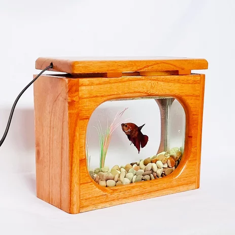 Detail Aquarium Elegan Nomer 34