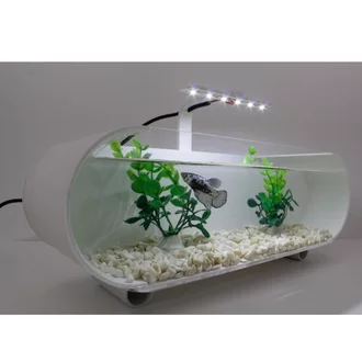 Detail Aquarium Elegan Nomer 39