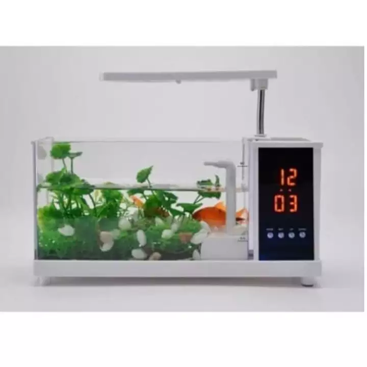Detail Aquarium Elegan Nomer 44