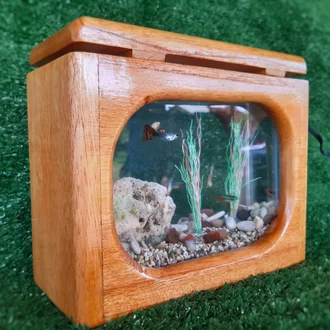Detail Aquarium Elegan Nomer 48