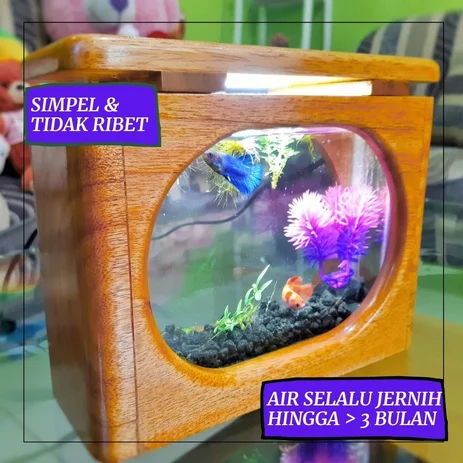 Detail Aquarium Elegan Nomer 52