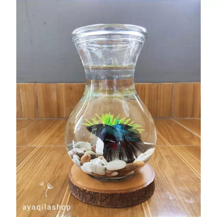 Detail Aquarium Elegan Nomer 55