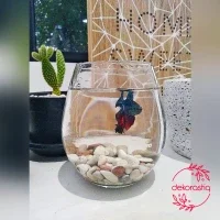Detail Aquarium Estetik Nomer 40