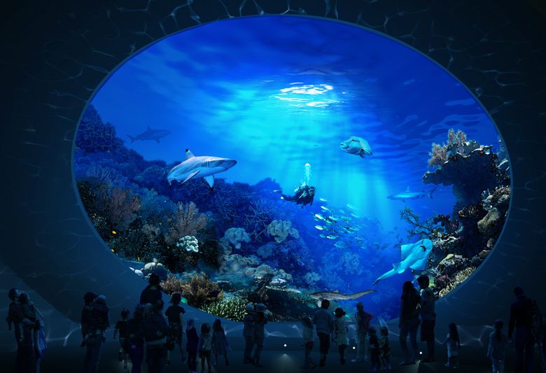 Detail Aquarium Gambar Nomer 23