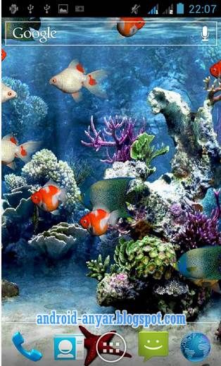 Detail Aquarium Gerak Nomer 14