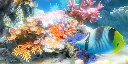 Detail Aquarium Hd Nomer 57