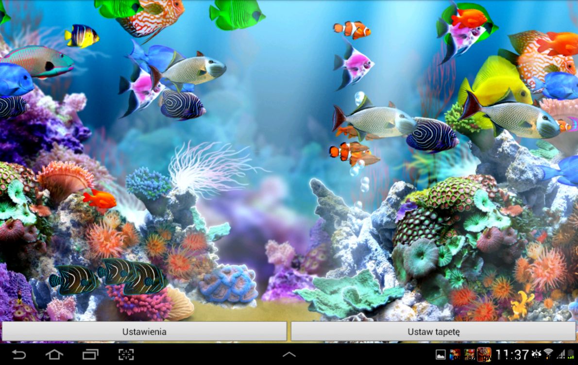 Detail Aquarium Live Wallpaper Nomer 13