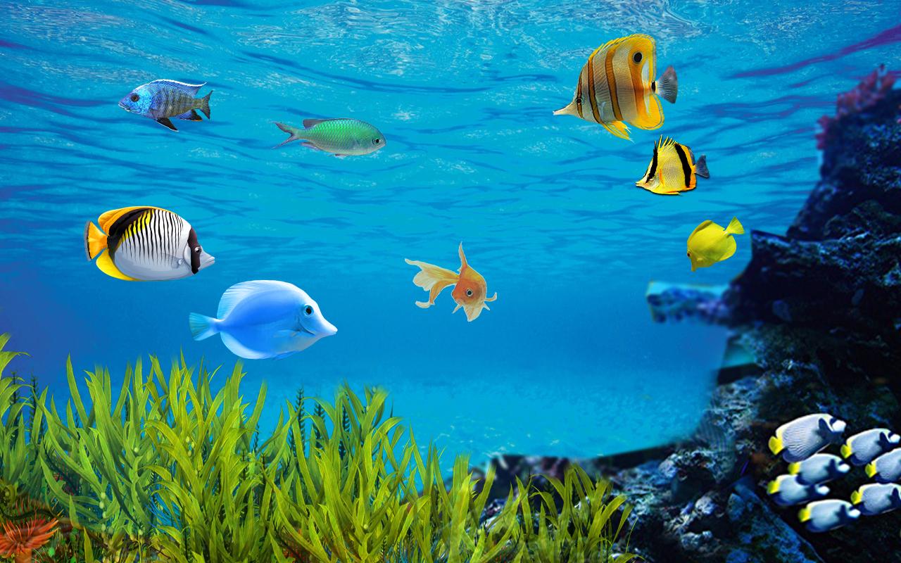 Detail Aquarium Live Wallpaper Nomer 15