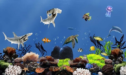 Detail Aquarium Live Wallpaper Nomer 43