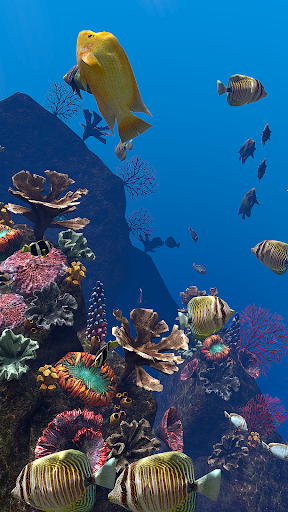 Detail Aquarium Live Wallpaper Nomer 48