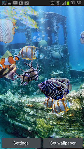 Detail Aquarium Live Wallpaper Apk Nomer 16