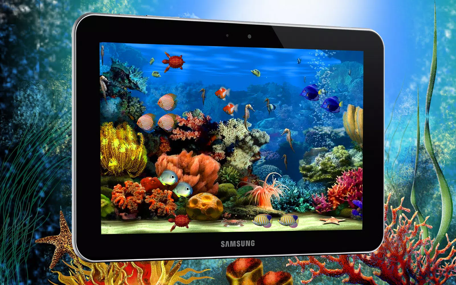 Detail Aquarium Live Wallpaper Apk Nomer 17