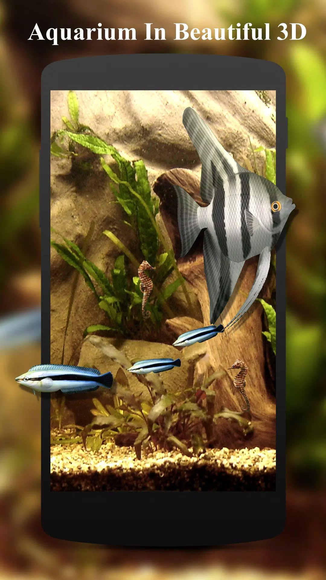 Detail Aquarium Live Wallpaper Apk Nomer 19