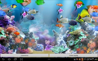 Detail Aquarium Live Wallpaper Apk Nomer 30