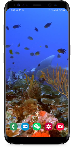 Detail Aquarium Live Wallpaper Apk Nomer 33