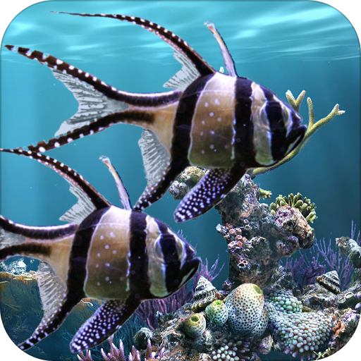 Detail Aquarium Live Wallpaper Apk Nomer 37