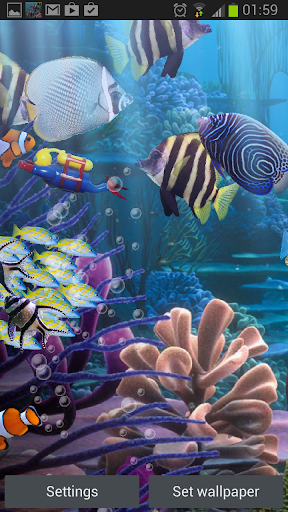 Detail Aquarium Live Wallpaper Apk Nomer 48