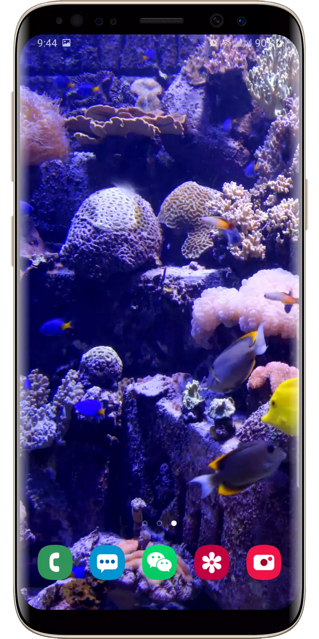 Detail Aquarium Live Wallpaper Apk Nomer 50