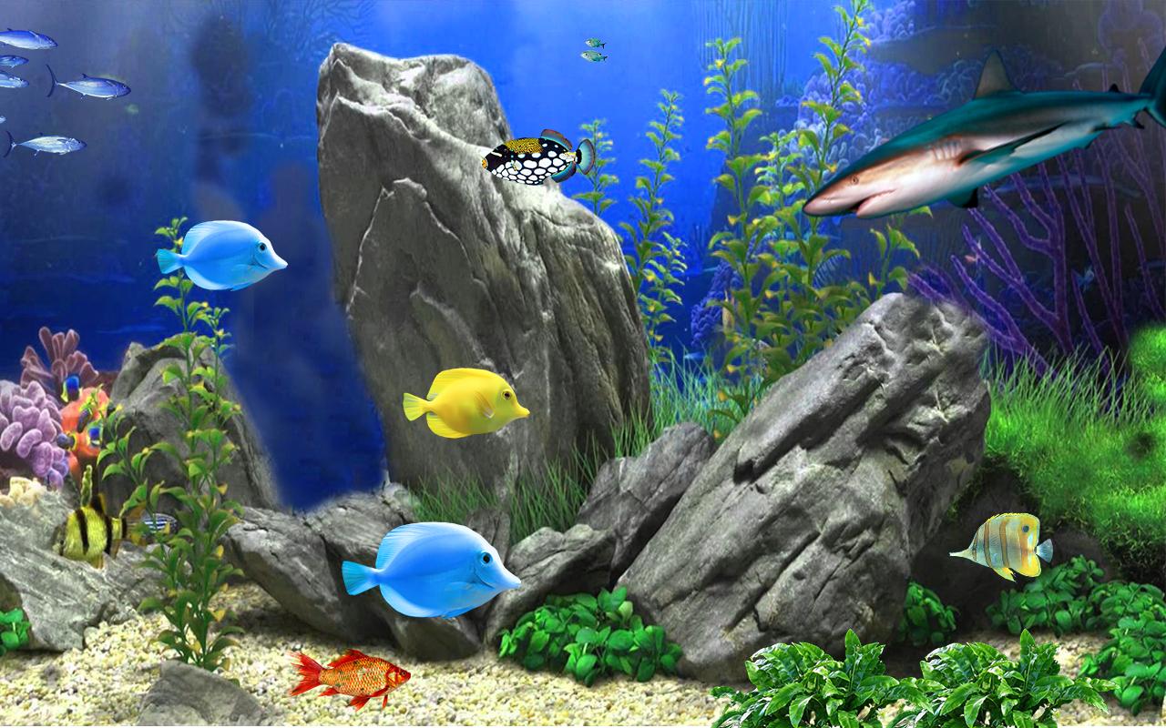 Detail Aquarium Live Wallpaper Apk Nomer 51