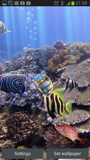 Detail Aquarium Live Wallpaper Apk Nomer 55