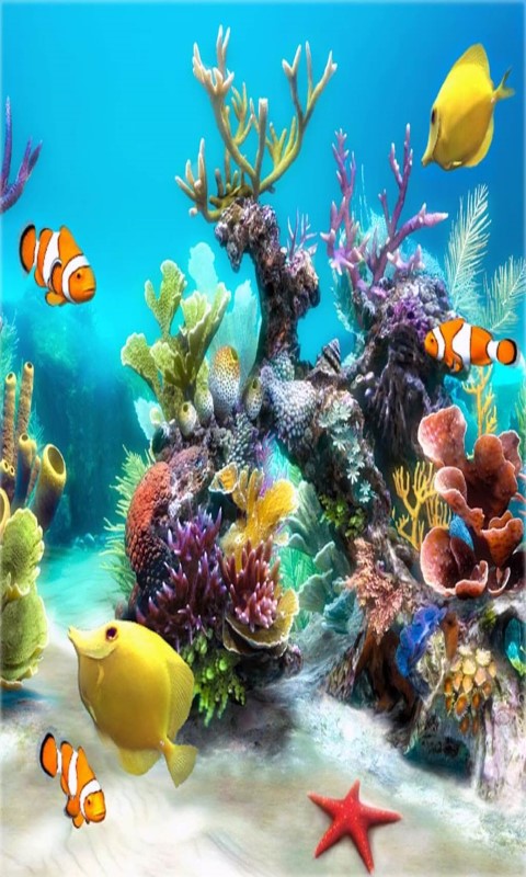 Detail Aquarium Live Wallpaper Apk Nomer 56