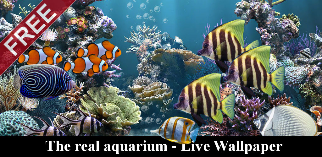 Detail Aquarium Live Wallpaper Apk Nomer 58