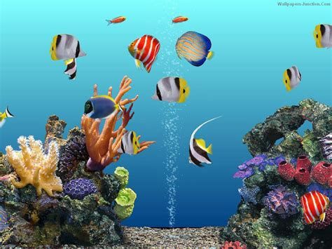 Detail Aquarium Live Wallpaper Free Nomer 12