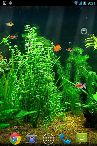 Detail Aquarium Live Wallpaper Free Nomer 52