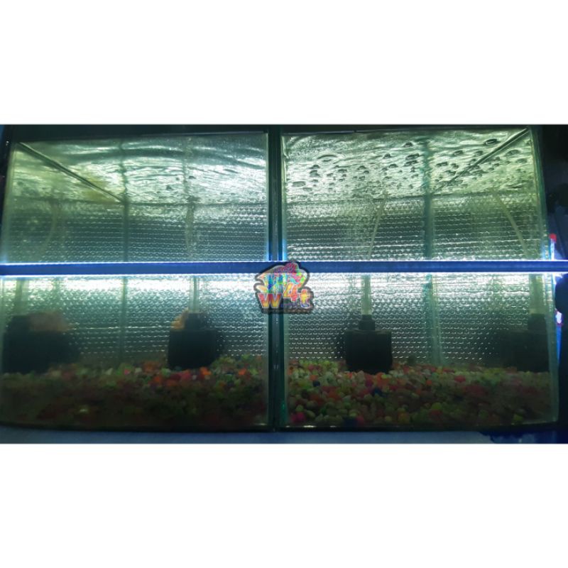 Detail Aquarium Louhan Background Biru Nomer 42