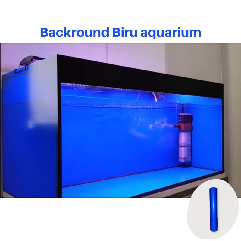 Detail Aquarium Louhan Background Biru Nomer 7