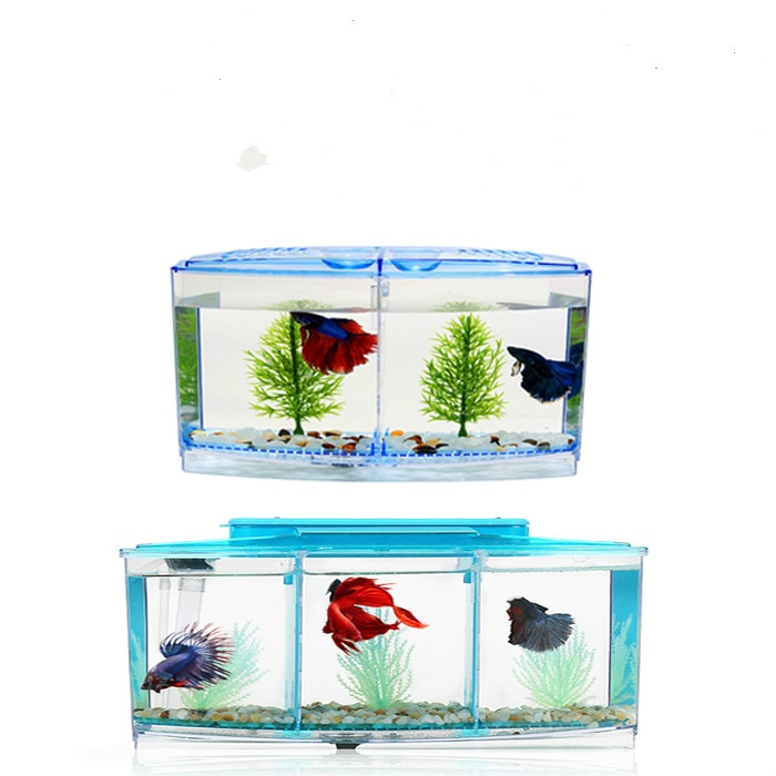 Aquarium Mini Kotak - KibrisPDR