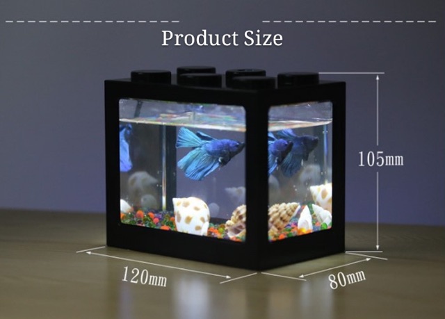 Detail Aquarium Mini Kotak Nomer 12